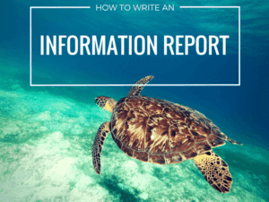 WRITING | information report writing | WRITING OVERVIEW | literacyideas.com