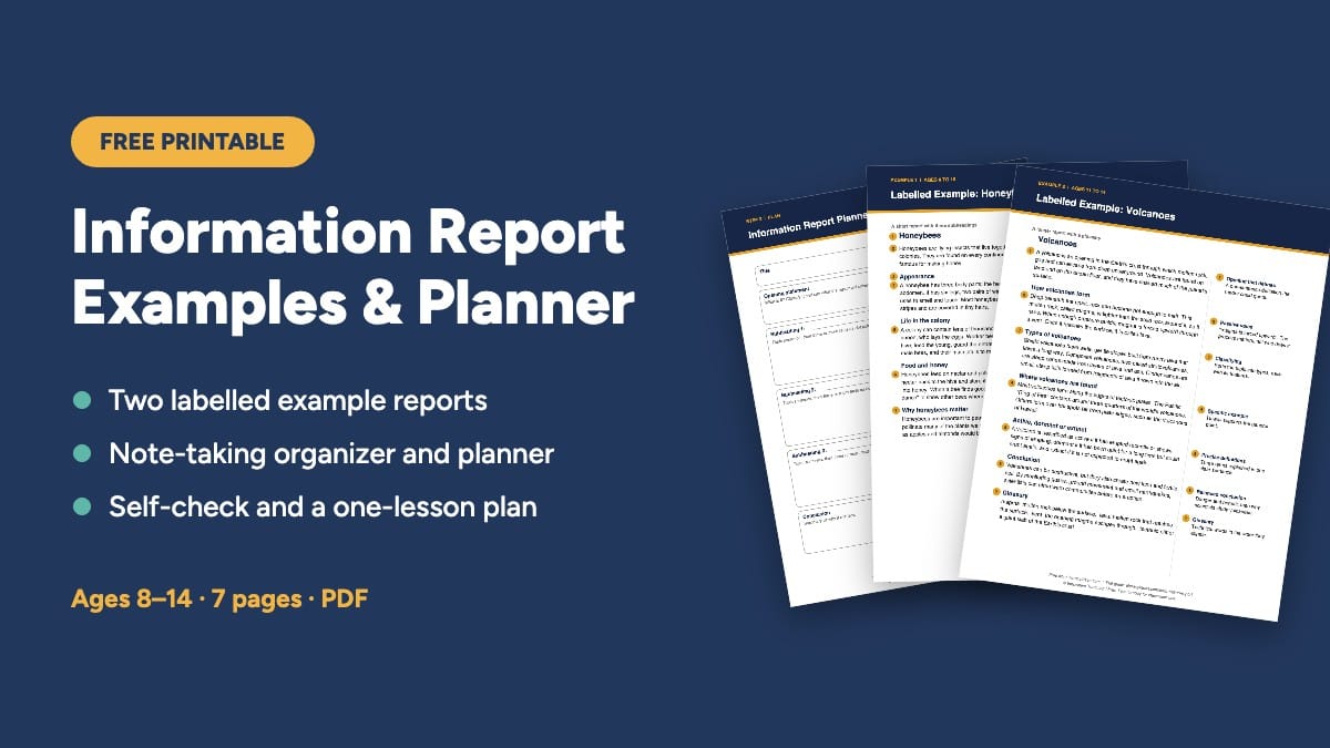 Free printable: Information Report Examples & Planner